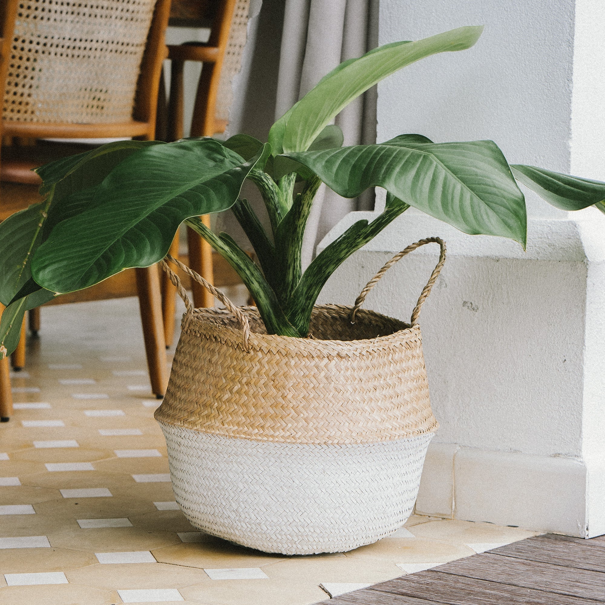 Beige and White Seagrass Wicker Planter Basket