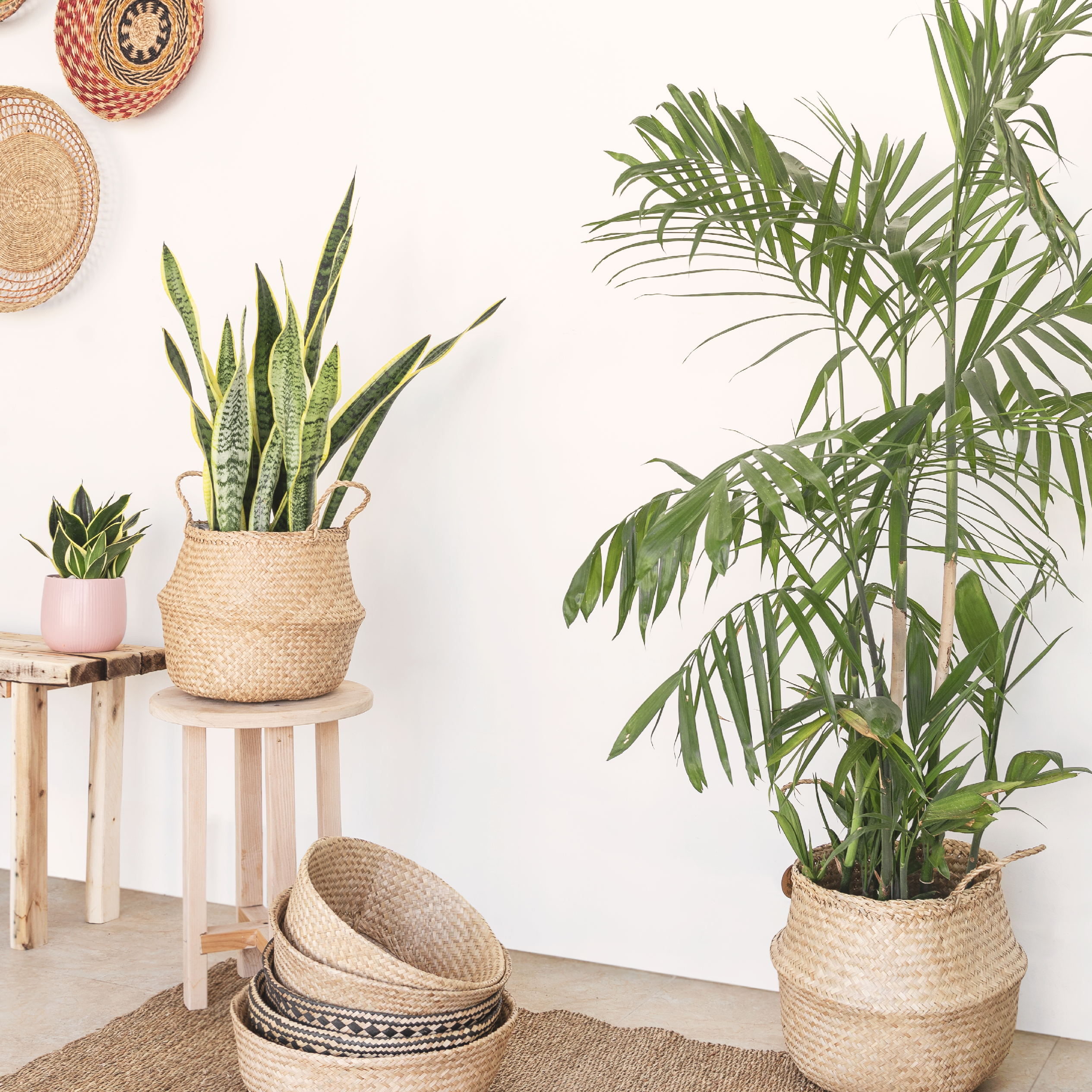 Round Seagrass Wicker Planter Vase Set of 2